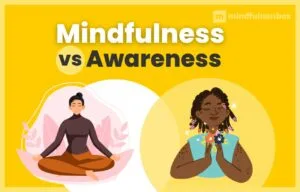 Mindfulness vs Awareness