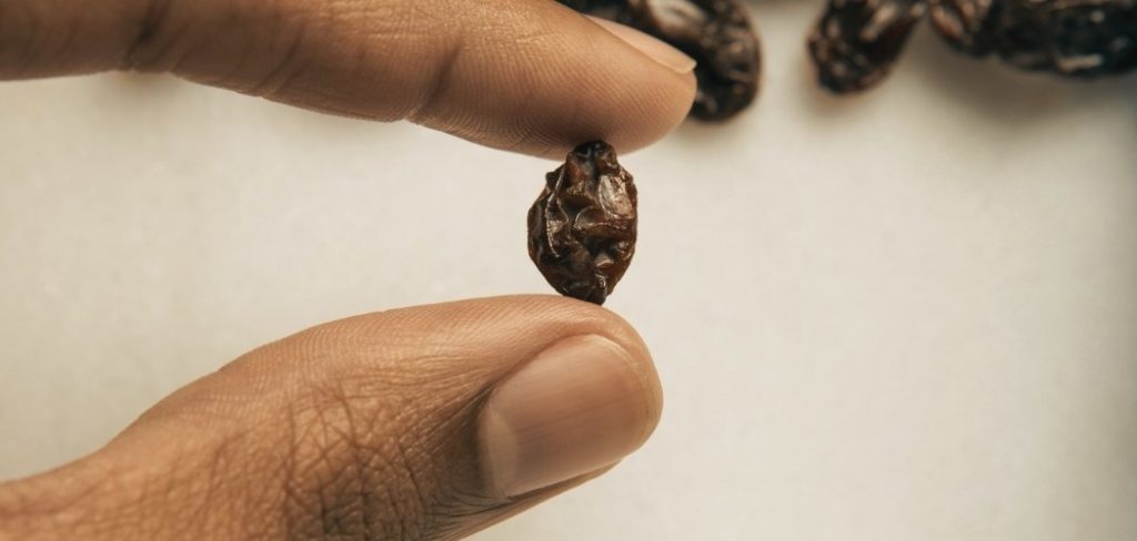 Man holding a raisin about to do the raisin mindfulness meditation exercise