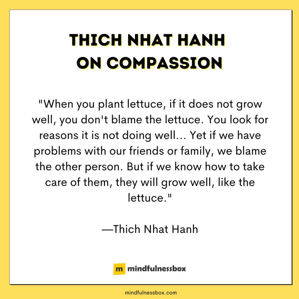 Thich Nhat Hanh quote about compassion B