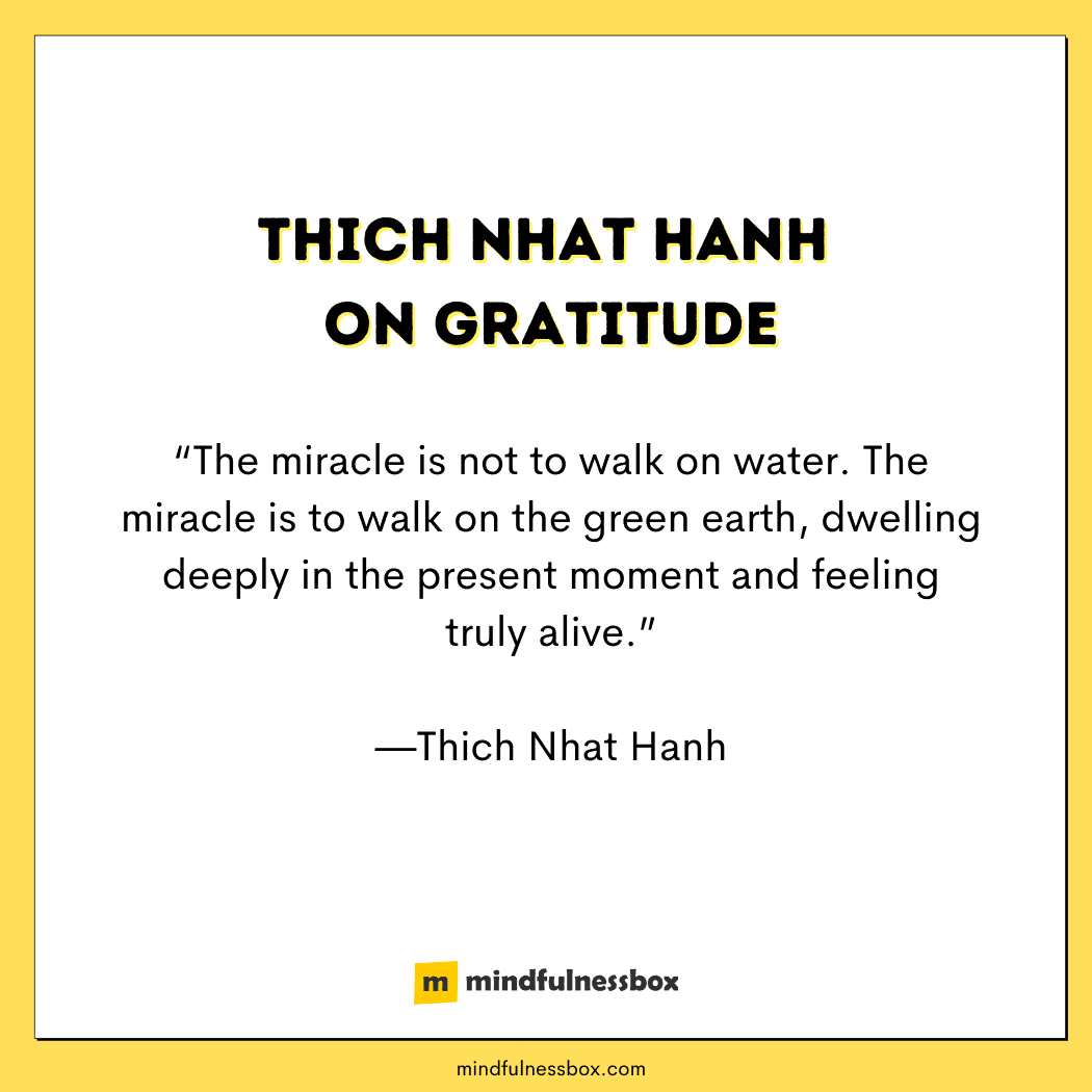 51 Thich Nhat Hanh Mindfulness Quotes