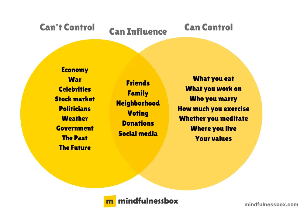 Venn diagram of circle of concern vs circle of influence