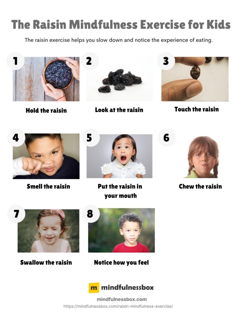 The eight step process of the raisin mindfulness exercise for kids