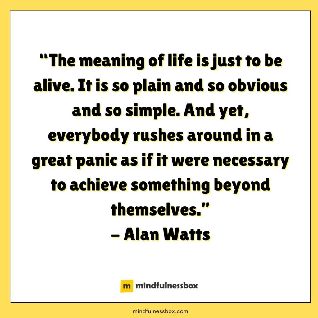 The Meaning of Life Quote Alan Watts