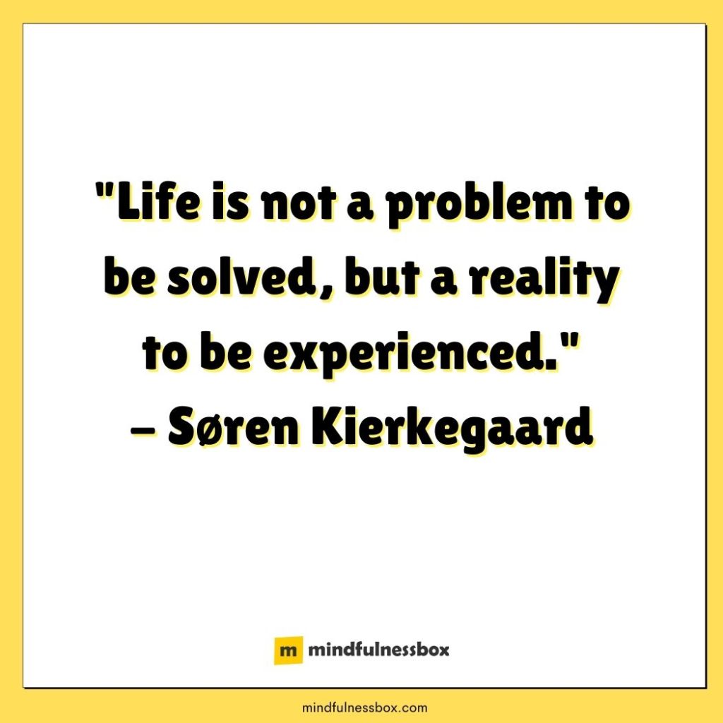 The Meaning of Life Quote Soren Kierkegaard