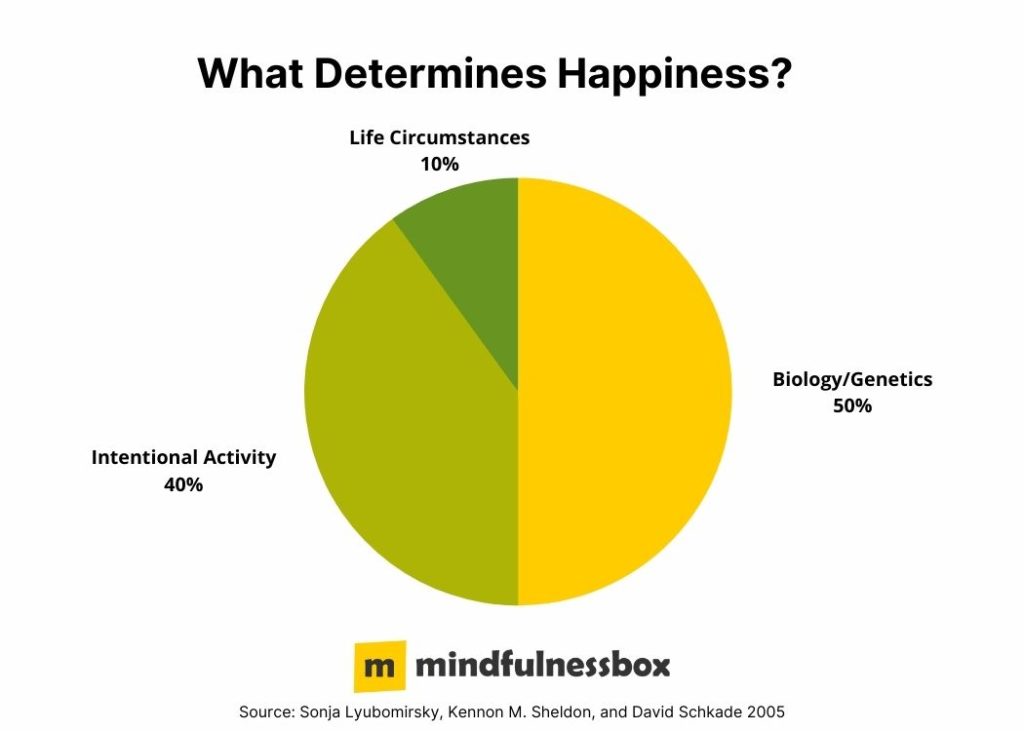 What Determines the Happiness Set Point