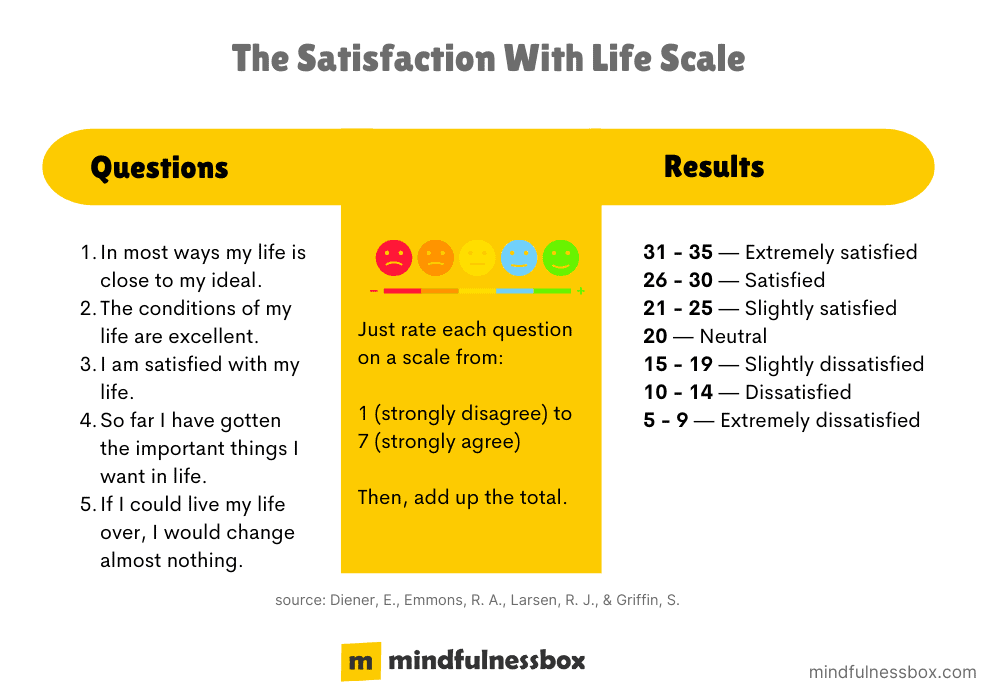 The Satisfaction With Life Scale